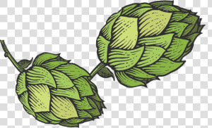 Hops Png  Transparent Png