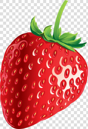 Clipart Png Strawberry   Clip Art Strawberry Png  Transparent Png