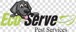 Eco Serve Pest Services   One Direction Quotes  HD Png Download