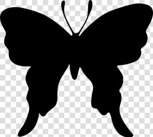 Brush footed Butterflies Butterfly Silhouette Drawing   Draw A Butterfly Silhouette  HD Png Download