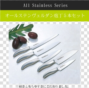 Verdun All Stainless Kitchen Knife  5 Piece Set   Knife  HD Png Download