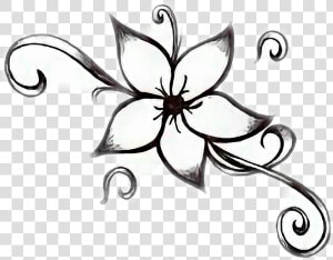   Flowers   black And White   Beginner Easy Drawing Flowers  HD Png Download