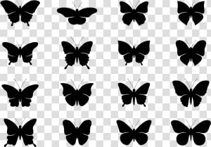 Mariposa Silhouettes Vector   Mariposa Png Vector  Transparent Png