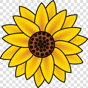 Country Sunflower Clip Art Clipart Free Download   Easy To Draw Sunflowers  HD Png Download