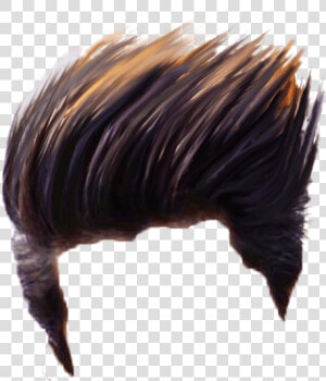 Best Hair Png For Editing   Boy Hair Style Png  Transparent Png