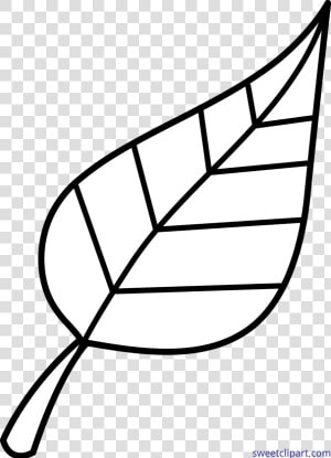 Nature Clipart Ink Seasons   Leaf Clip Art Black And White  HD Png Download