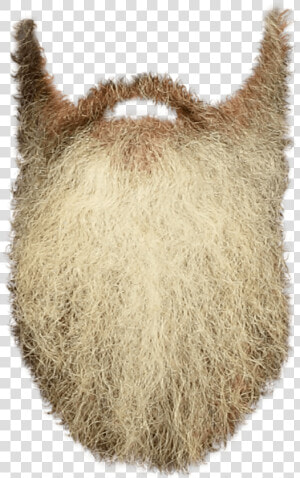 Beard Clip Art   Long Beard Transparent Background  HD Png Download