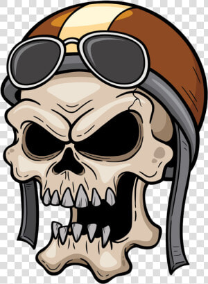 Clipart Skeleton Cranium   Vector Skull Illustration  HD Png Download