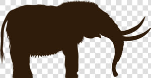 Woolly Mammoth Clip Art  HD Png Download