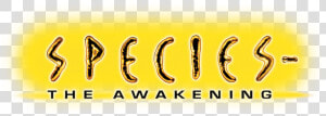 Species  The Awakening  HD Png Download