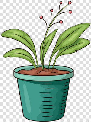 Flowerpot  HD Png Download