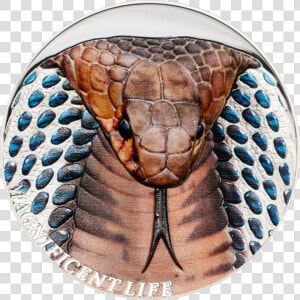 Cobra   Magnificent Life   Smartminting   2017 1 Oz   Lubricentro Don Polo Logo Png  Transparent Png