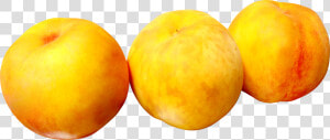 File   Peaches   Plum Png  Transparent Png