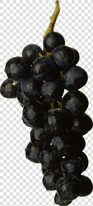 Black Grapes Png Image   Black Grapes Fruit Png  Transparent Png