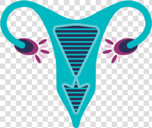 Gynaecology Png  Transparent Png