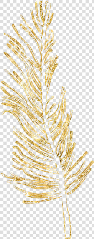  gold  feather  feathers  native  boho  glitter  decals   Transparent Gold Feather Png  Png Download