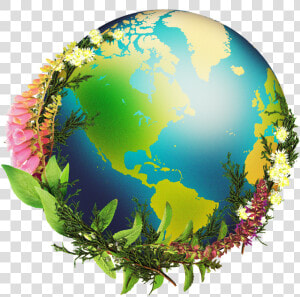 Chrysalis Natural Medicine   Globe  HD Png Download