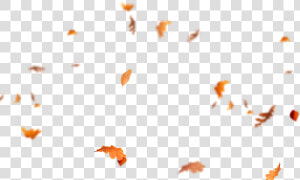 Falling Leaves Png   Autumn Leaves Flying Png  Transparent Png