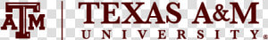 Tam Primary Mark B   Logo Texas A amp m College Station  HD Png Download