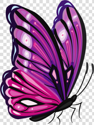 Purple Butterfly Png Clipart Picture Cliparts   Purple And Pink Butterfly Png  Transparent Png