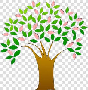 Tree  Fresh  Leaves  Green  Pink  New  Life  Spring   Clipart Life  HD Png Download