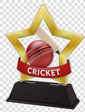 Mini Star Cricket Trophy   Well Done Medal Transparent  HD Png Download