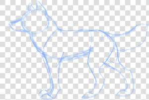 My Wolf Anatomy 3 By Twiztedrhapsody d3dv96g Anatomy   Line Art  HD Png Download