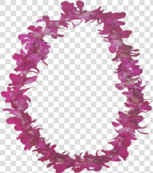 Lei Png   Hawaii Lei Png  Transparent Png