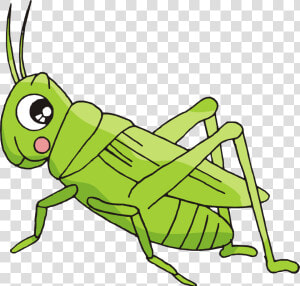 Cartoon Bush Crickets Creative   Imagenes De Grillo Animadas  HD Png Download