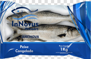 Peixe Congelado   Peixes Congelados  HD Png Download