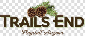 Trails End Logo   Shortstraw Pine  HD Png Download