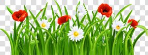 Grass With Flower Clipart Png   Flowers And Grass Png  Transparent Png