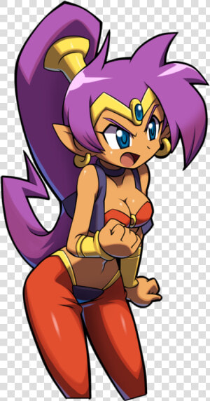 View Samegoogleiqdbsaucenao Shantae     Shantae And The Pirate  39 s Curse Png  Transparent Png