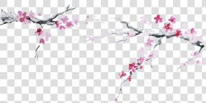 Cherry Blossom Plum Flower Clipart   Japan Cherry Blossom Png  Transparent Png