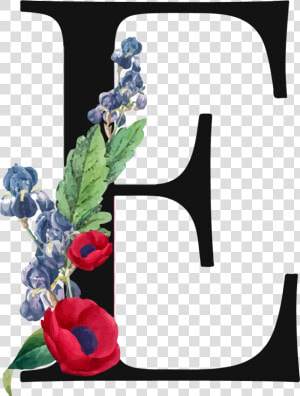 Letter E Png Royalty free Image   Pierre Joseph Redoute  Transparent Png