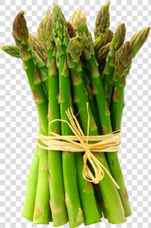 Download Asparagus Transparent Background   Asparagus In Tamil Nadu  HD Png Download