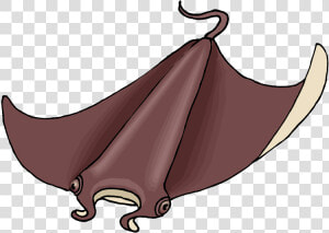 Sting Ray Clipart Png Transparent Png   Png Download   Stingray  Png Download