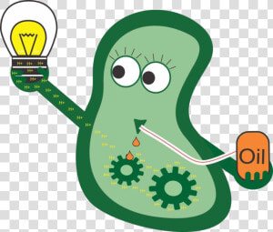 Bacteria Cliparts Png   Bacteria Cartoon Transparent Background  Png Download