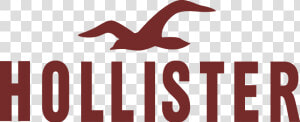 Hollister Logo Png   Hollister Logo Vector  Transparent Png