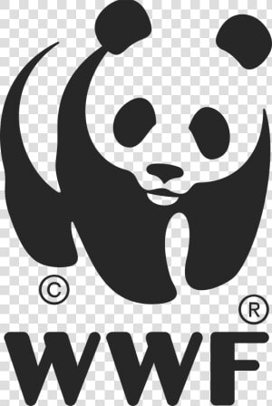 Wwf Logo Png Transparent   Wwf Logo  Png Download