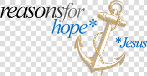 Reasons For Hope  HD Png Download