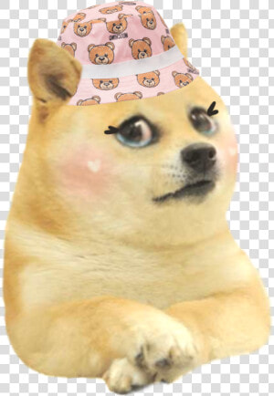 Kyle Doge  HD Png Download