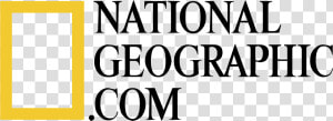 National Geographic Logo Transparent  HD Png Download