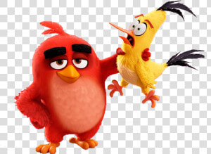 Red Birds And Cartoon   Angry Birds Red X Stella  HD Png Download