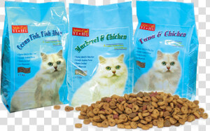 Pet cat   Cat Food Cat Feed  HD Png Download