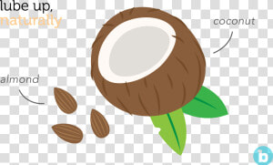 Coconut Oil Is Often Considered As The Best Lube For   Illustration  HD Png Download