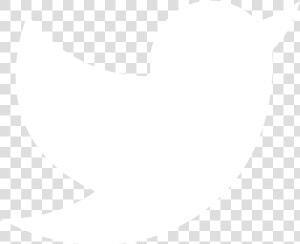 White Transparent Twitter Logo Clipart   Png Download   Icon Twitter White Png  Png Download