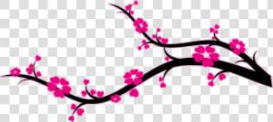 Branche Cerisier Du Japon   Png Download   Branche Cerisier Png  Transparent Png