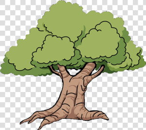 Mississippi Outline Oak Grove Clip Art   Cartoon Oak Tree  HD Png Download