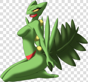 Green Vertebrate Plant Leaf Cartoon Fictional Character   Imágenes De Pokemon Sceptile  HD Png Download